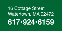 landscaping contractor boston ma